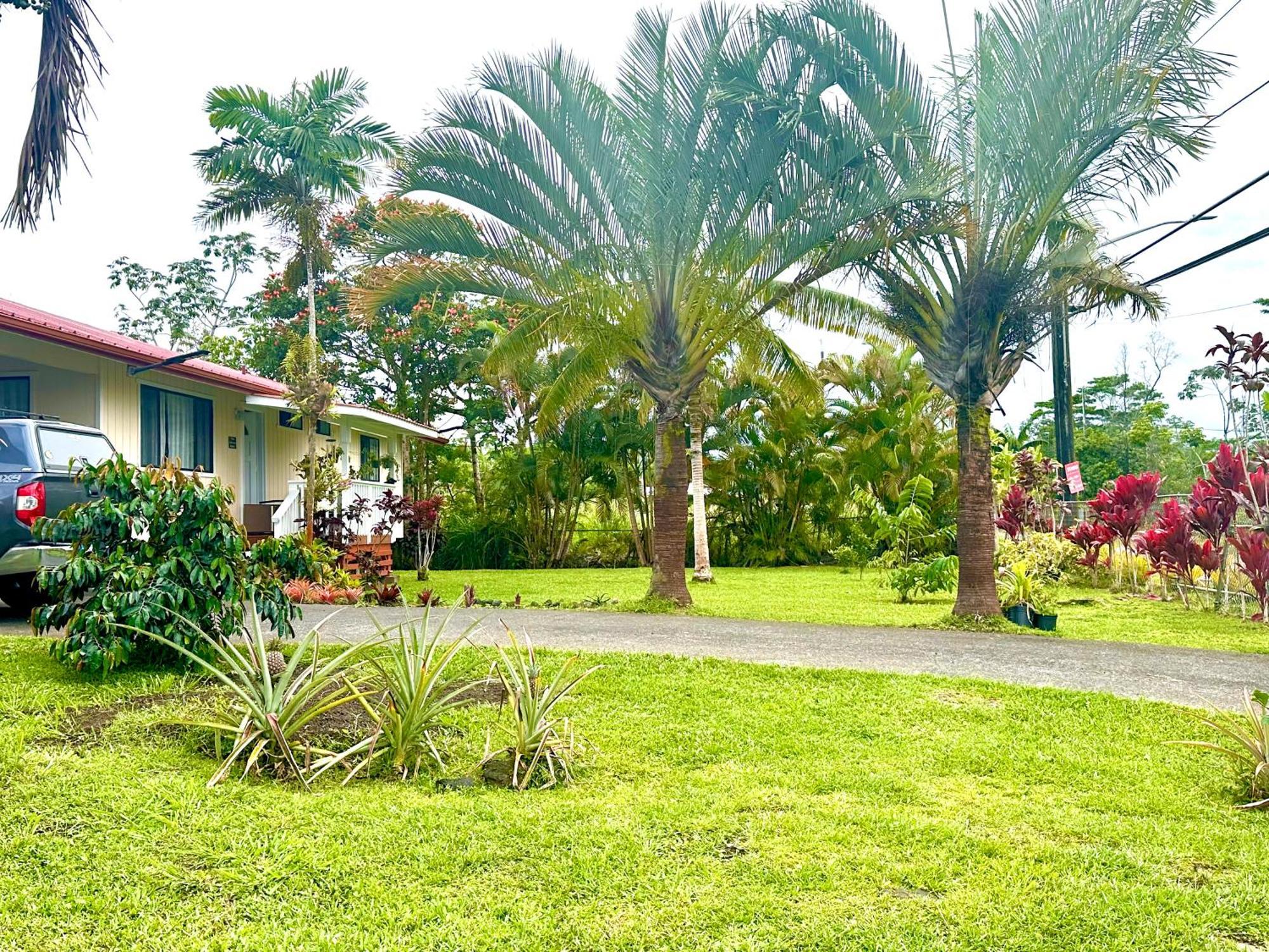 Big Island Getaway Apartment Pahoa ภายนอก รูปภาพ